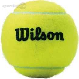 Piłki do tenisa ziemnego Wilson Championship 3 szt WRT100101 Wilson