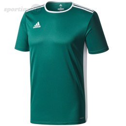 Koszulka męska adidas Entrada 18 Jersey zielona CD8358 Adidas teamwear