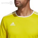Koszulka męska adidas Entrada 18 Jersey żółta CD8390 Adidas teamwear