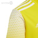 Koszulka dla dzieci adidas Regista 20 Jersey JUNIOR żółta FI4568 Adidas teamwear