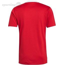 Koszulka męska adidas Tiro 21 Training Jersey czerwona GM7588 Adidas teamwear