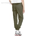 Spodnie damskie Nike NSW Essential Fleece Women zielone BV4095 368 Nike