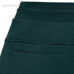 Spodnie męskie 4F morska zieleń H4Z21 SPMD011 46S 4F