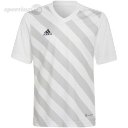 Koszulka dla dzieci adidas Entrada 22 Graphic Jersey biało-szara HF0120 Adidas teamwear