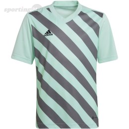 Koszulka dla dzieci adidas Entrada 22 Graphic Jersey miętowo-szara HF0127 Adidas teamwear