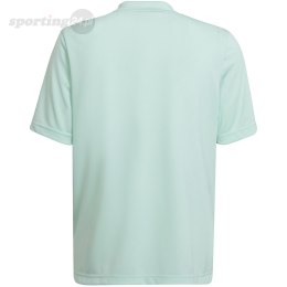 Koszulka dla dzieci adidas Entrada 22 Graphic Jersey miętowo-szara HF0127 Adidas teamwear