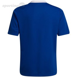Koszulka dla dzieci adidas Entrada 22 Jsy niebieska HG3948 Adidas teamwear