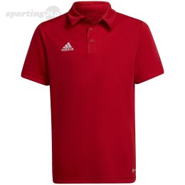 Koszulka dla dzieci adidas Entrada 22 Polo czerwona H57495 Adidas teamwear