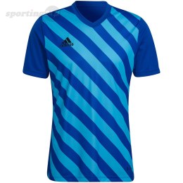 Koszulka męska adidas Entrada 22 Graphic Jersey niebiesko-błękitna HF0116 Adidas teamwear