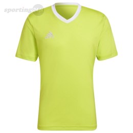 Koszulka męska adidas Entrada 22 Jersey limonkowa HC5077 Adidas teamwear