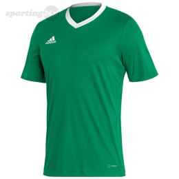 Koszulka męska adidas Entrada 22 Jersey zielona HI2123 Adidas teamwear