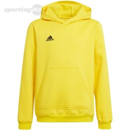 Bluza dla dzieci adidas Entrada 22 Hoody żółta HI2142 Adidas teamwear