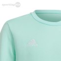 Bluza dla dzieci adidas Entrada 22 Sweat Top miętowa HC5042 Adidas teamwear