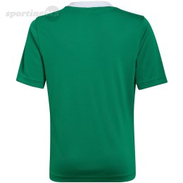 Koszulka dla dzieci adidas Entrada 22 Jersey zielona HI2126 Adidas teamwear