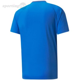 Koszulka męska Puma teamVISION Jersey niebieska 704921 02 Puma