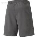 Spodenki męskie Puma teamRISE Short szare 704942 13 Puma