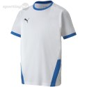 Koszulka dla dzieci Puma teamGOAL 23 Jersey biało-niebieska 704160 12 Puma