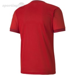 Koszulka męska Puma teamGOAL 23 Jersey czerwona 704171 01 Puma