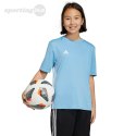 Koszulka dla dzieci adidas Tabela 23 Jersey błękitna IA9155 Adidas teamwear