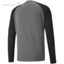 Bluza bramkarska męska Puma teamPACER GK LS szara 704933 43 Puma