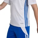 Koszulka dla dzieci adidas Tabela 23 Jersey biało-niebieska JJ1154 Adidas teamwear