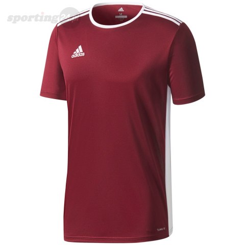 Koszulka dla dzieci adidas Entrada 18 Jersey JUNIOR bordowa CE9564 Adidas teamwear