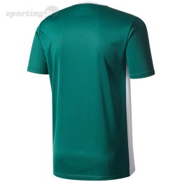 Koszulka dla dzieci adidas Entrada 18 Jersey JUNIOR zielona CE9563 Adidas teamwear