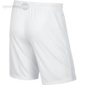 Spodenki męskie Nike Park II Knit Short NB białe 725887 100 Nike Team