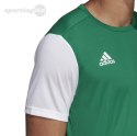 Koszulka dla dzieci adidas Estro 19 Jersey JUNIOR zielona DP3216 Adidas teamwear