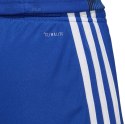 Spodenki męskie adidas Tastigo 19 Shorts niebieskie DP3682 Adidas teamwear