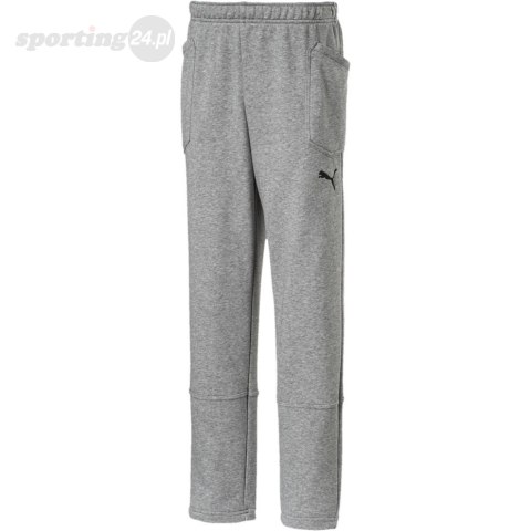 Spodnie dla dzieci Puma Liga Casuals Pants JUNIOR szare 655635 33 Puma