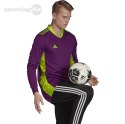 Bluza bramkarska adidas AdiPro 20 Goalkeeper Jersey Longsleeve fioletowa FI4194 Adidas teamwear