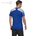 Koszulka męska adidas Regista 20 Jersey niebieska FI4554 Adidas teamwear