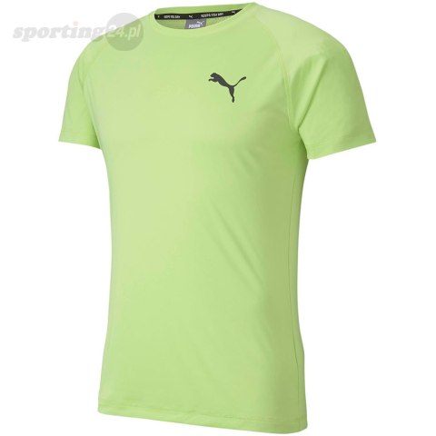 Koszulka męska Puma Rtg Tee Sharp zielona 581504 34 Puma