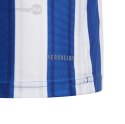 Koszulka dla dzieci adidas Striped 21 Jersey Youth biało-niebieska GH7323 Adidas teamwear