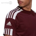 Koszulka męska adidas Squadra 21 Jersey Short Sleeve bordowa GN8091 Adidas teamwear