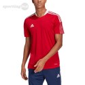 Koszulka męska adidas Tiro 21 Training Jersey czerwona GM7588 Adidas teamwear