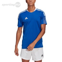 Koszulka męska adidas Tiro 21 Training Jersey niebieska GM7589 Adidas teamwear