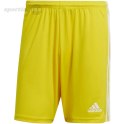 Spodenki męskie adidas Squadra 21 Short żółte GN5772 Adidas teamwear