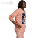 Bluza damska adidas Youforyou Sweatshirt morelowa HA2431 Adidas