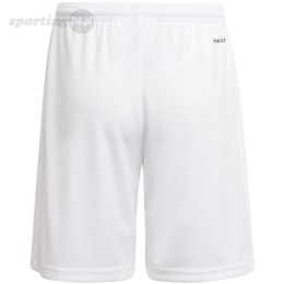 Spodenki dla dzieci adidas Squadra 21 Short Youth białe GN5765 Adidas teamwear