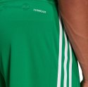 Spodenki męskie adidas Squadra 21 Jersey zielone GN5769 Adidas teamwear