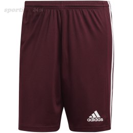 Spodenki męskie adidas Squadra 21 Short bordowe GN8083 Adidas teamwear