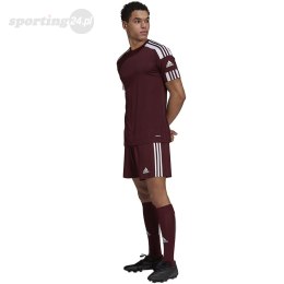 Spodenki męskie adidas Squadra 21 Short bordowe GN8083 Adidas teamwear