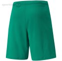 Spodenki męskie Puma teamRISE Short zielone 704942 05 Puma