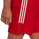 Spodenki męskie adidas Condivo 21 Primeblue Shorts czerwone GJ6810 Adidas teamwear