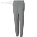 Spodnie dla dzieci Puma ESS Logo Pants FL szare 586973 03 Puma