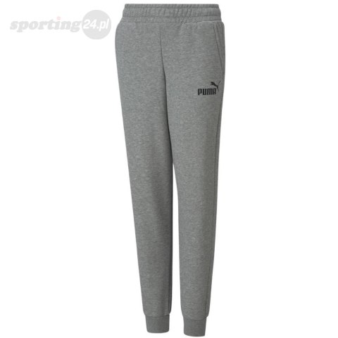 Spodnie dla dzieci Puma ESS Logo Pants FL szare 586973 03 Puma