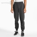 Spodnie męskie Puma ESS Logo Pants FL ciemnoszare 586714 07 Puma