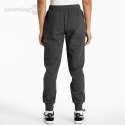 Spodnie męskie Puma ESS Logo Pants FL ciemnoszare 586714 07 Puma